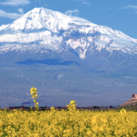 STUDIENREISE ARMENIEN & GEORGIEN